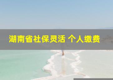 湖南省社保灵活 个人缴费